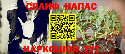 PSILOCYBIN Новокубанск